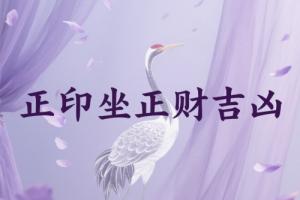 正印坐正財是吉還是兇