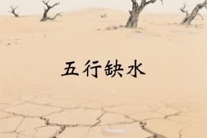 五行缺水的女人適合什么行業(yè)