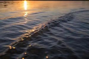 水命的女人適合什么工作