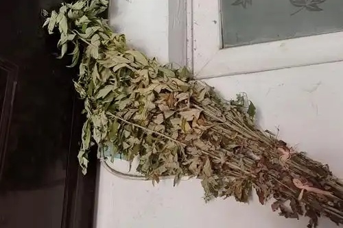 干艾草掛門上最忌諱三個(gè)原因