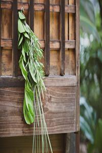 艾草掛門口有什么講究