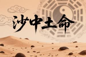 沙中土命是幾等命