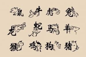 卜算子算命網(wǎng)