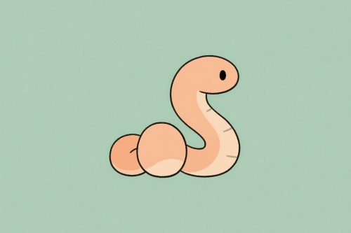 2025年蛇是什么命 五行屬什么