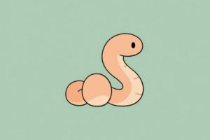 2025年蛇是什么命 五行屬什么