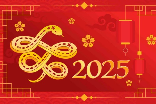 今年什么年2025是什么年
