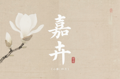 女孩詩經(jīng)楚辭中的絕美名字