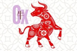 97年屬牛住東戶還是西戶好