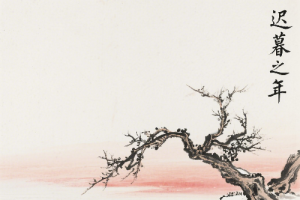 遲暮之年的年齡含義