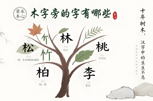 言字旁的字有哪些