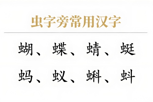 蟲(chóng)字旁的字有哪些