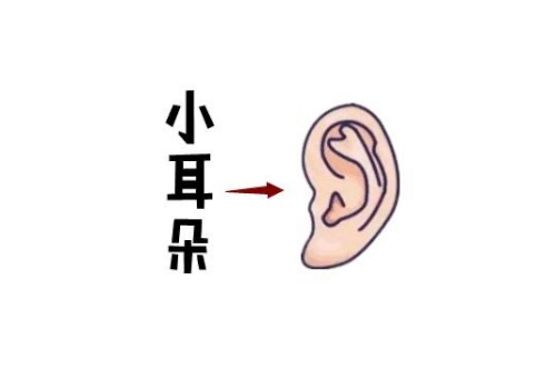 女人最命苦的五種耳朵