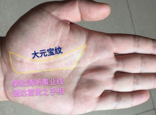 女人左手元寶紋暗示什么