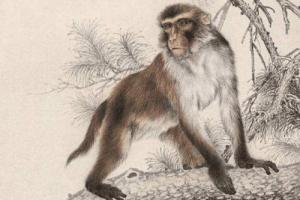 卜算子算命網(wǎng)