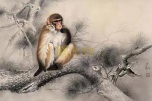 卜算子算命網(wǎng)