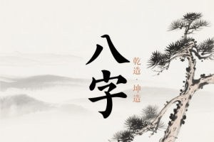 八字算名字可以算第二次名字嗎