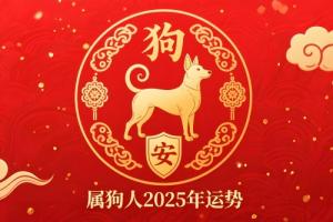 屬狗人2025年每月運(yùn)勢(shì)及運(yùn)程詳解