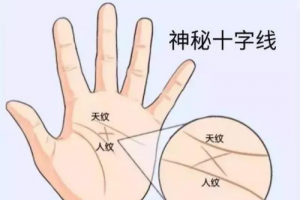 十字紋在手掌中心代表什么意思