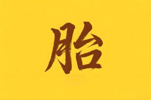 八字里胎代表什么意思
