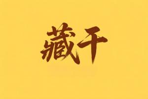 八字里藏干是什么意思