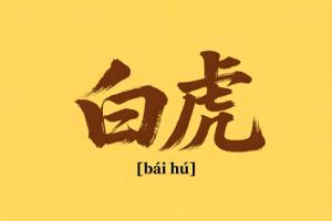 八字里白虎是什么意思