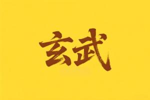 八字里玄武是什么意思