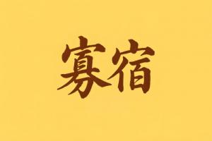 八字里寡宿是什么意思