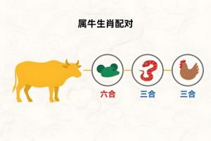 屬牛的三合和六個合生肖是什么