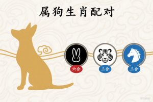 屬狗的三合和六個(gè)合生肖是什么