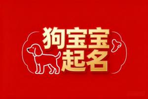 屬狗女孩名字最佳用字