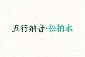 八字納音五行解析松柏木