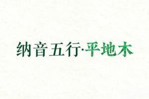 八字納音五行解析平地木