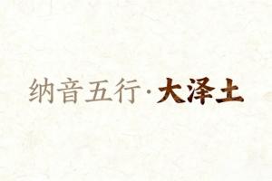 八字納音五行解析大驛土