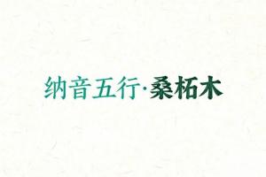 八字納音五行解析桑柘木