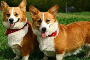 卜算子算命網(wǎng)