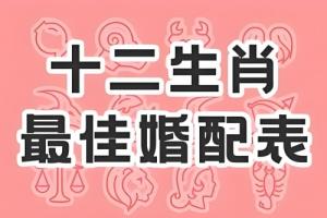 屬相婚配十二生肖年齡表