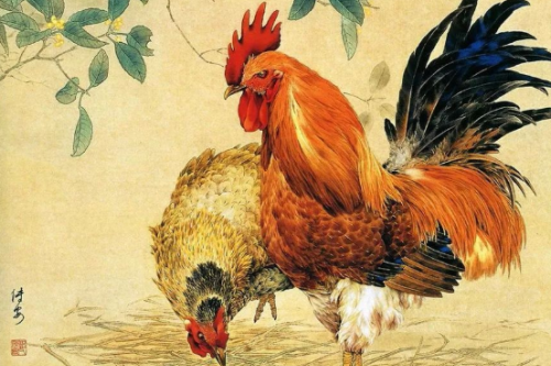 屬雞的最佳婚配和最忌婚配