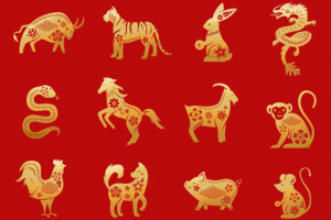 十二生肖中感情專一的生肖